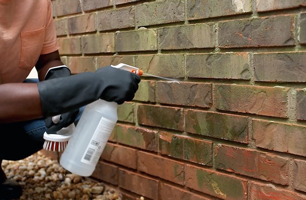 how-to-clean-brick-2021-step-8